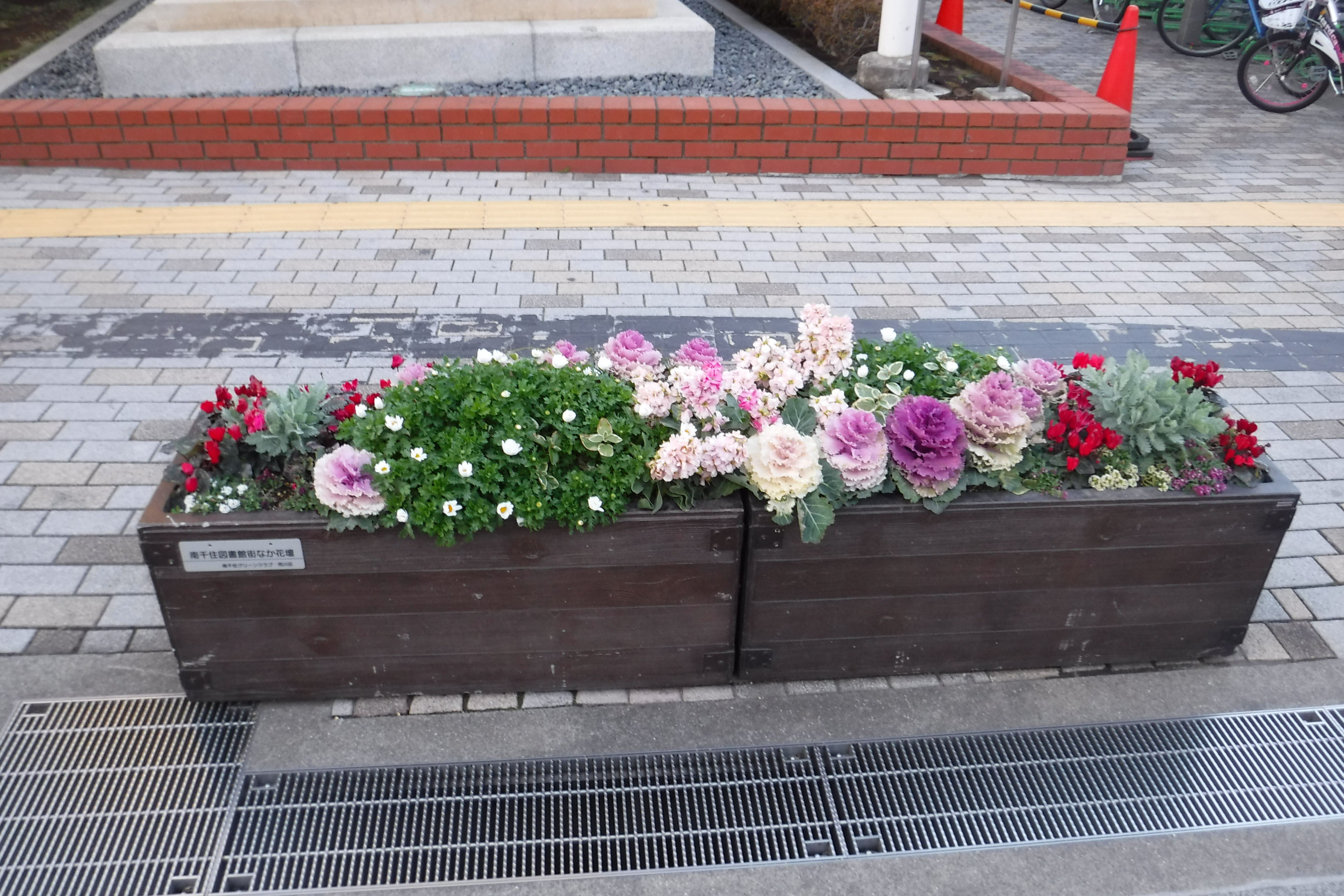 花壇の様子