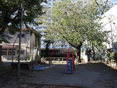 全景