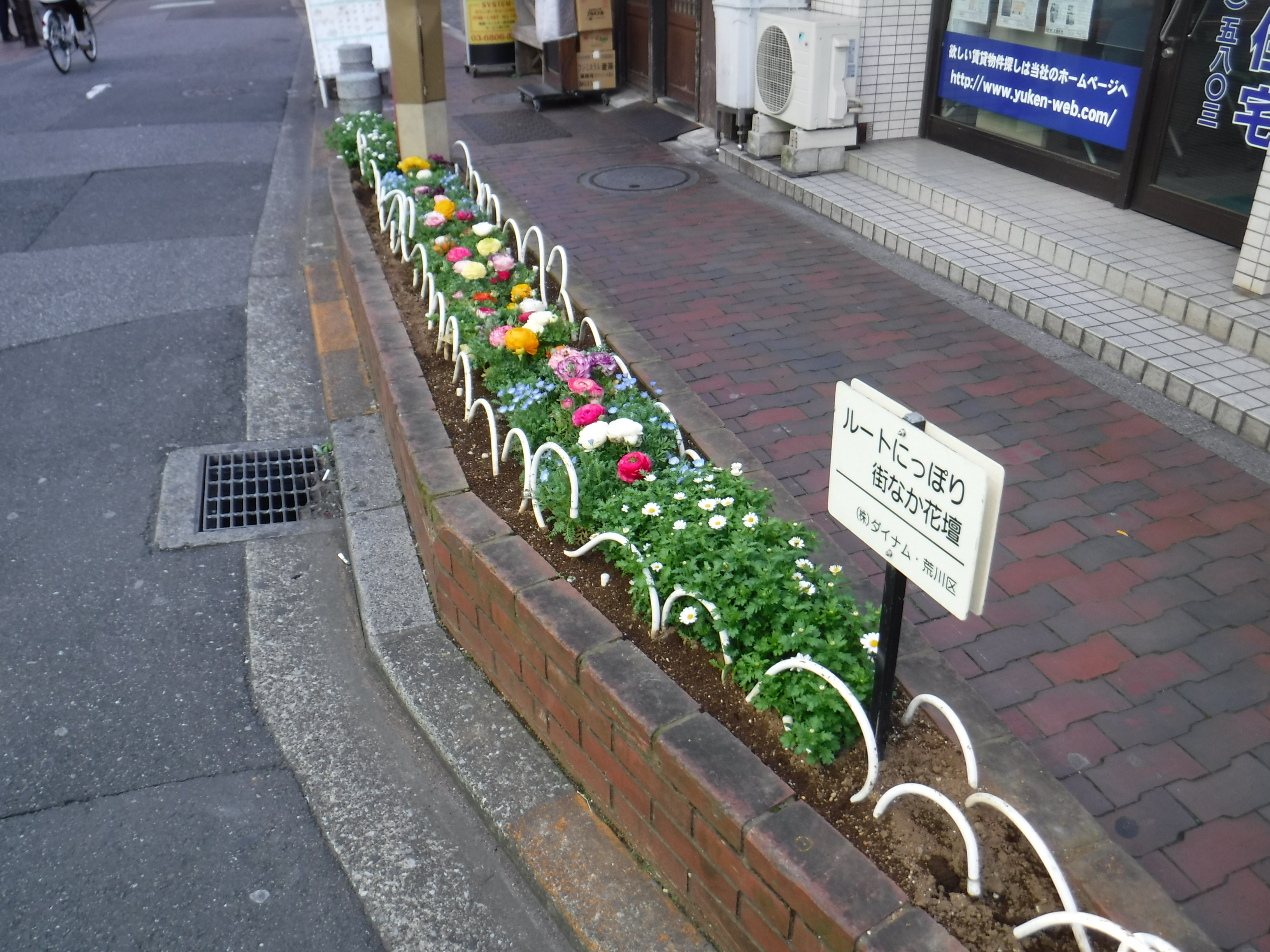 花壇の写真