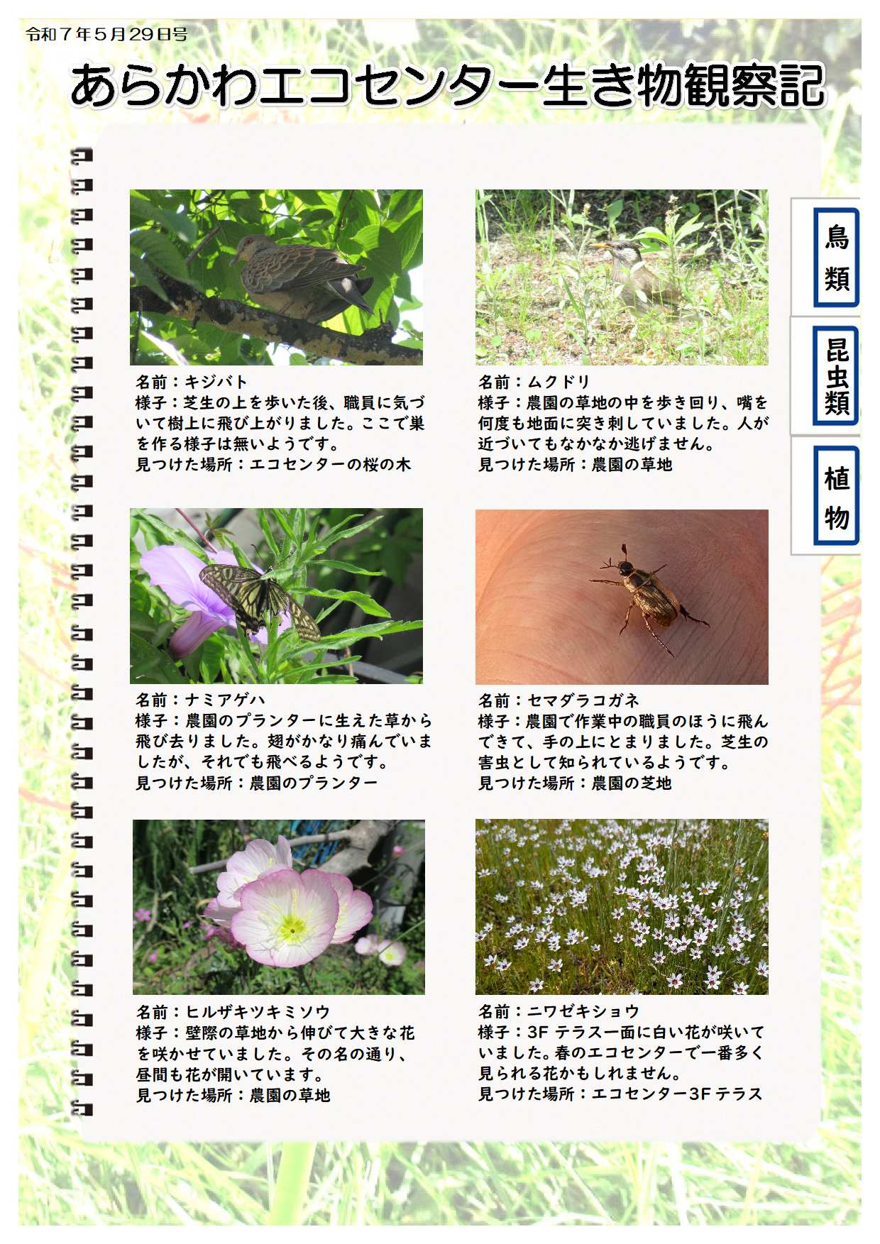 R070529ikimono