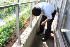 背を丸めて種を播く様子