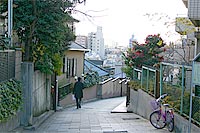 区民名曲コンサート第九