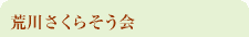 r삳炻